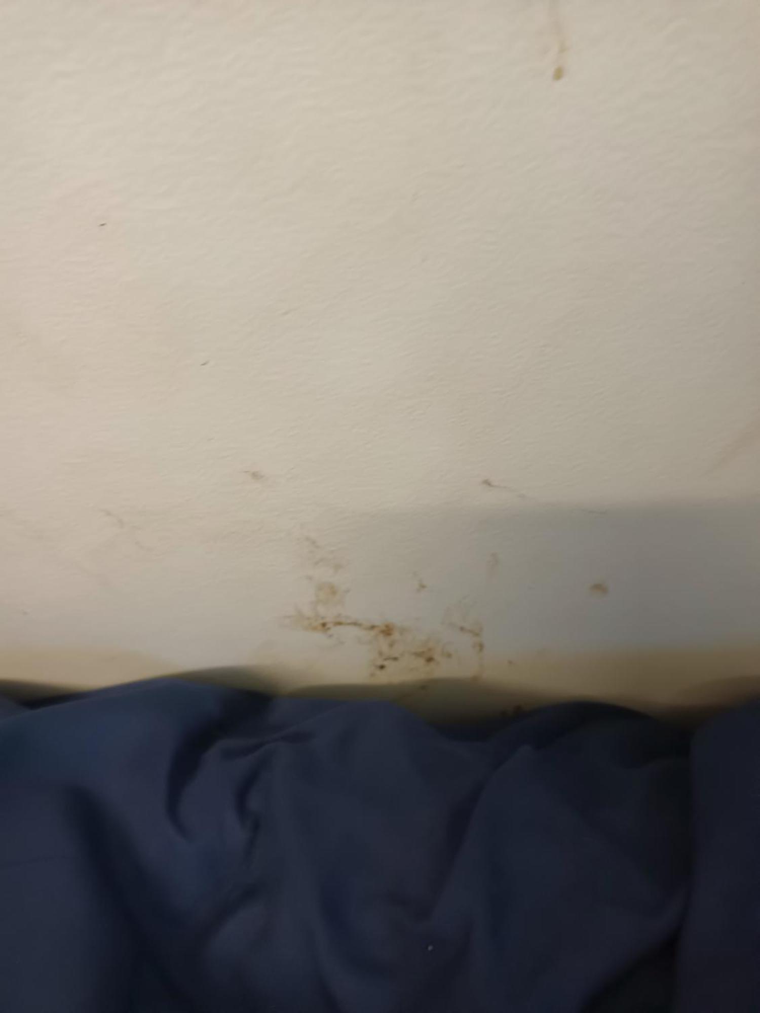 Single Room In Wollongong Near Uni Keiraville Cameră foto