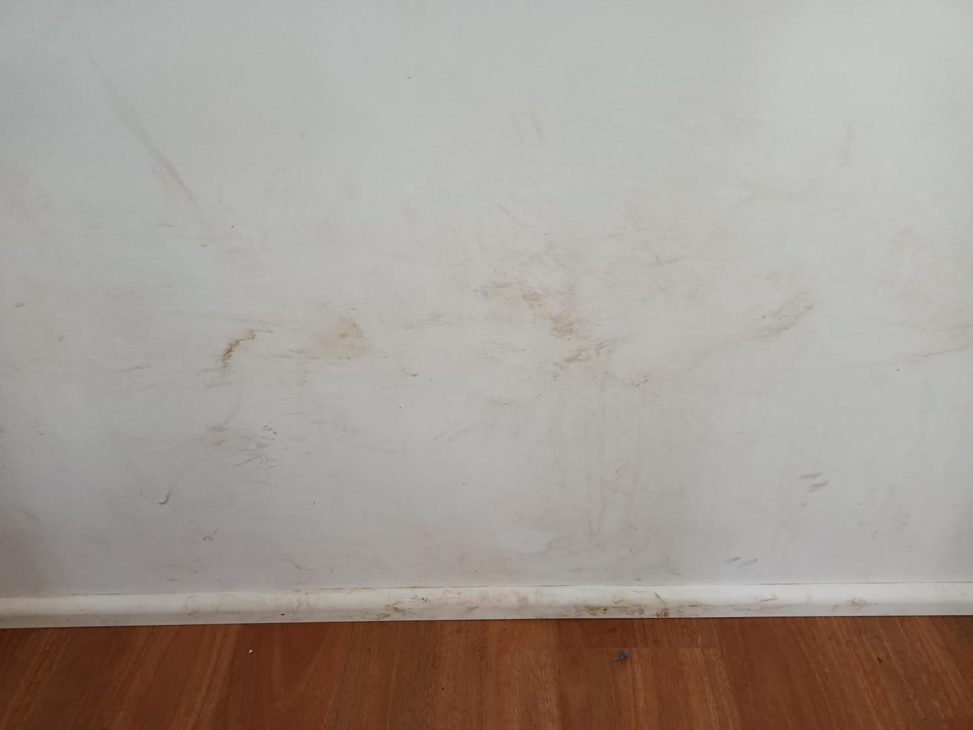 Single Room In Wollongong Near Uni Keiraville Cameră foto